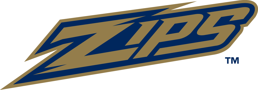 Akron Zips 2002-Pres Wordmark Logo t shirts DIY iron ons v2